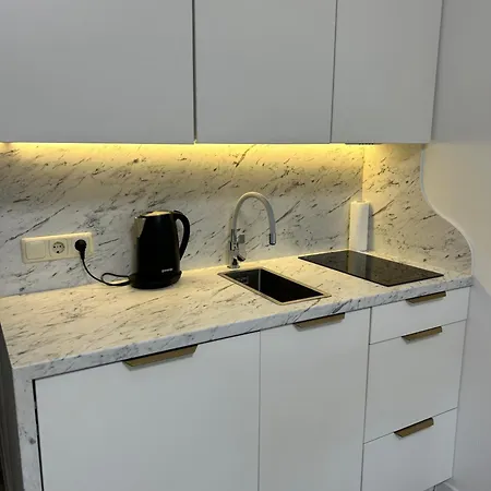 Studija Su Balkonu Palangos Centre פלאנגה