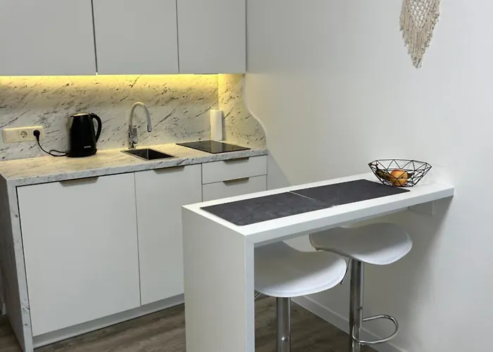 Studija Su Balkonu Palangos Centre *