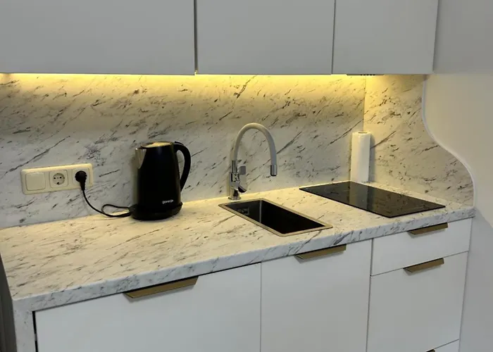 Studija Su Balkonu Palangos Centre Palanga